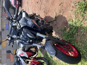 Yamaha 2024 Gray