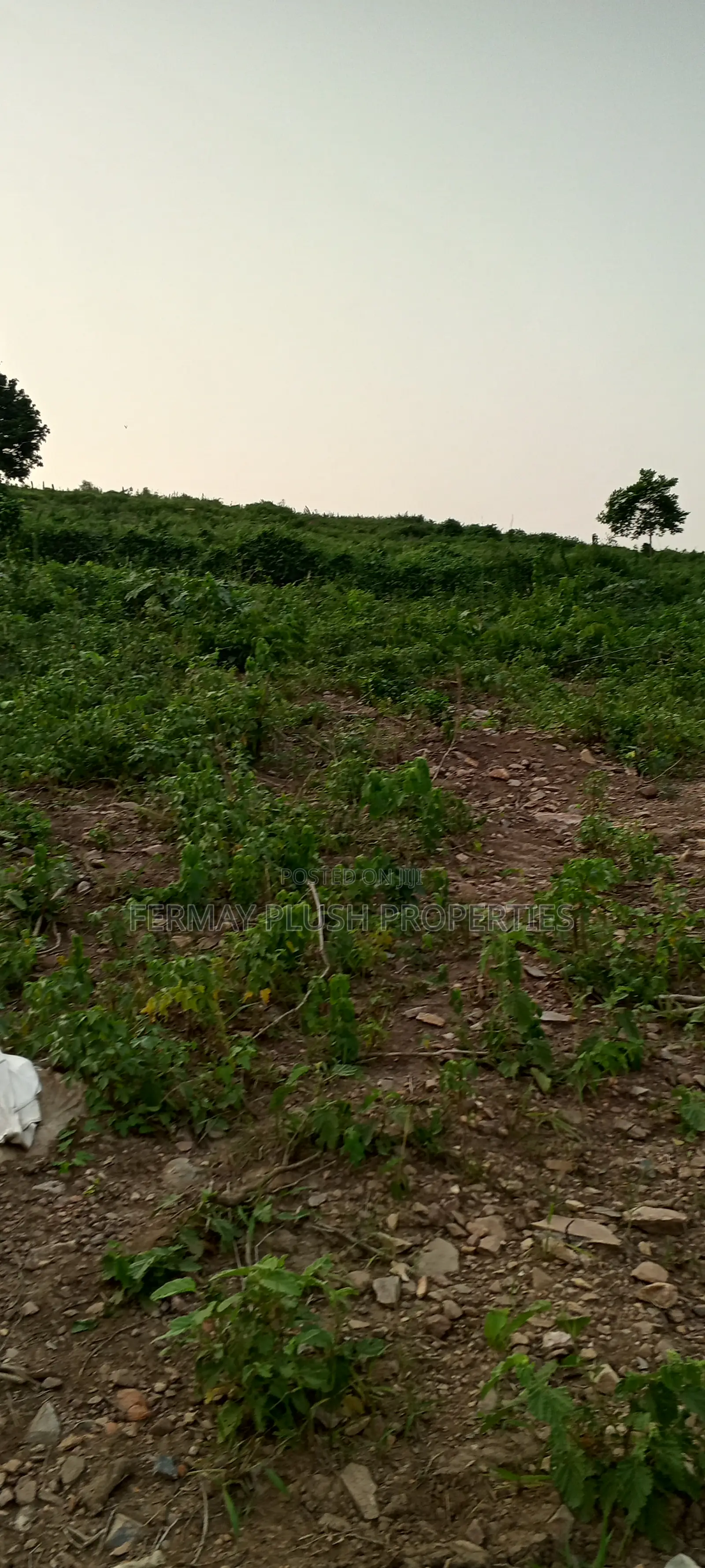 Land Title Land for Sale at Oyarifa