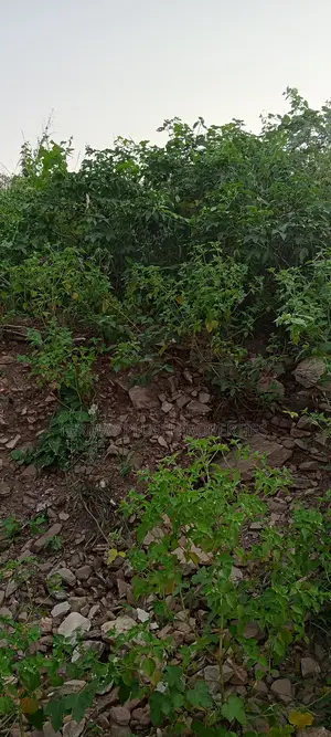 Land Title Land for Sale at Oyarifa