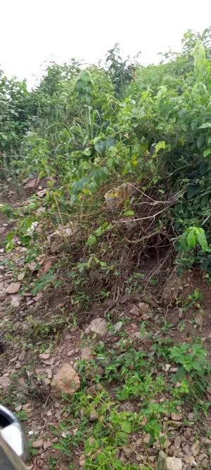 Land Title Land for Sale at Oyarifa