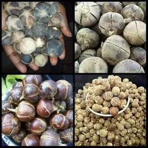 Goron Tula Fruit (Snot Apple) 100g
