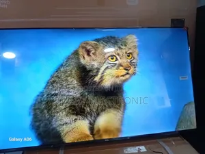 TCL 43-Inch Led Google Tv – Smart Entertainment Hub