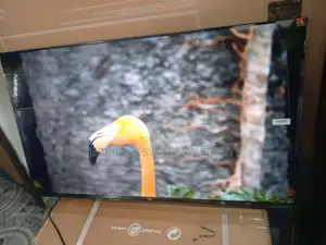 TCL 43" Smart Entertainment TCL Tv