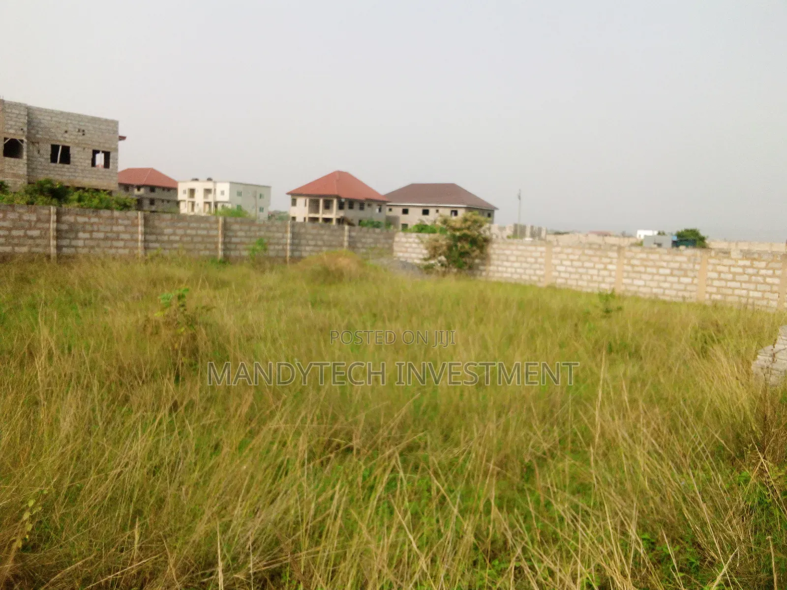 Elegant-Classy Land - Katamanso