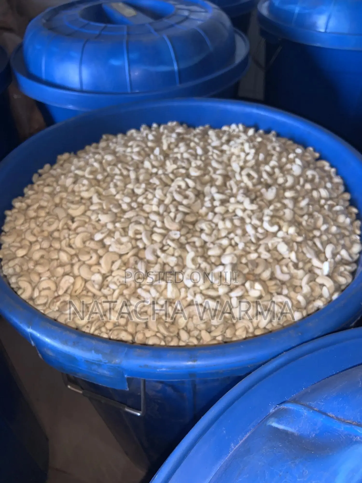 Process Cashew W320
