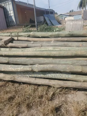 Treated Electricity Standard Poles