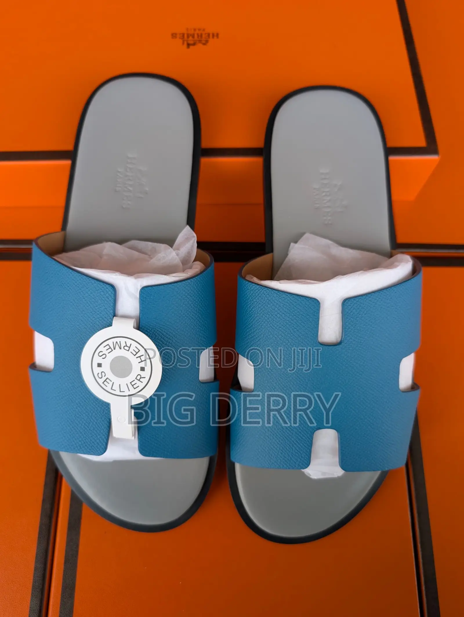 Hermes Official Palms