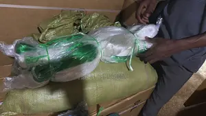 Cucumber Nets