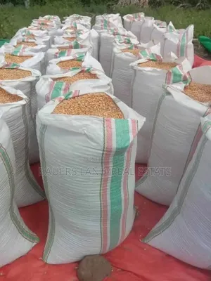 Beans Available (120kg A Bag)