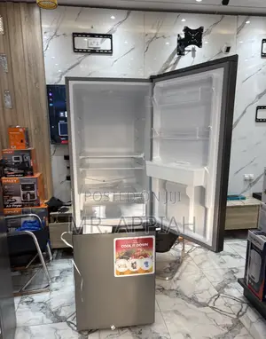 Energy Saving Zara Double Door Electric Fridge(40bfwd) 