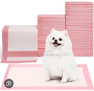 Training Pads for Dogs and Cats