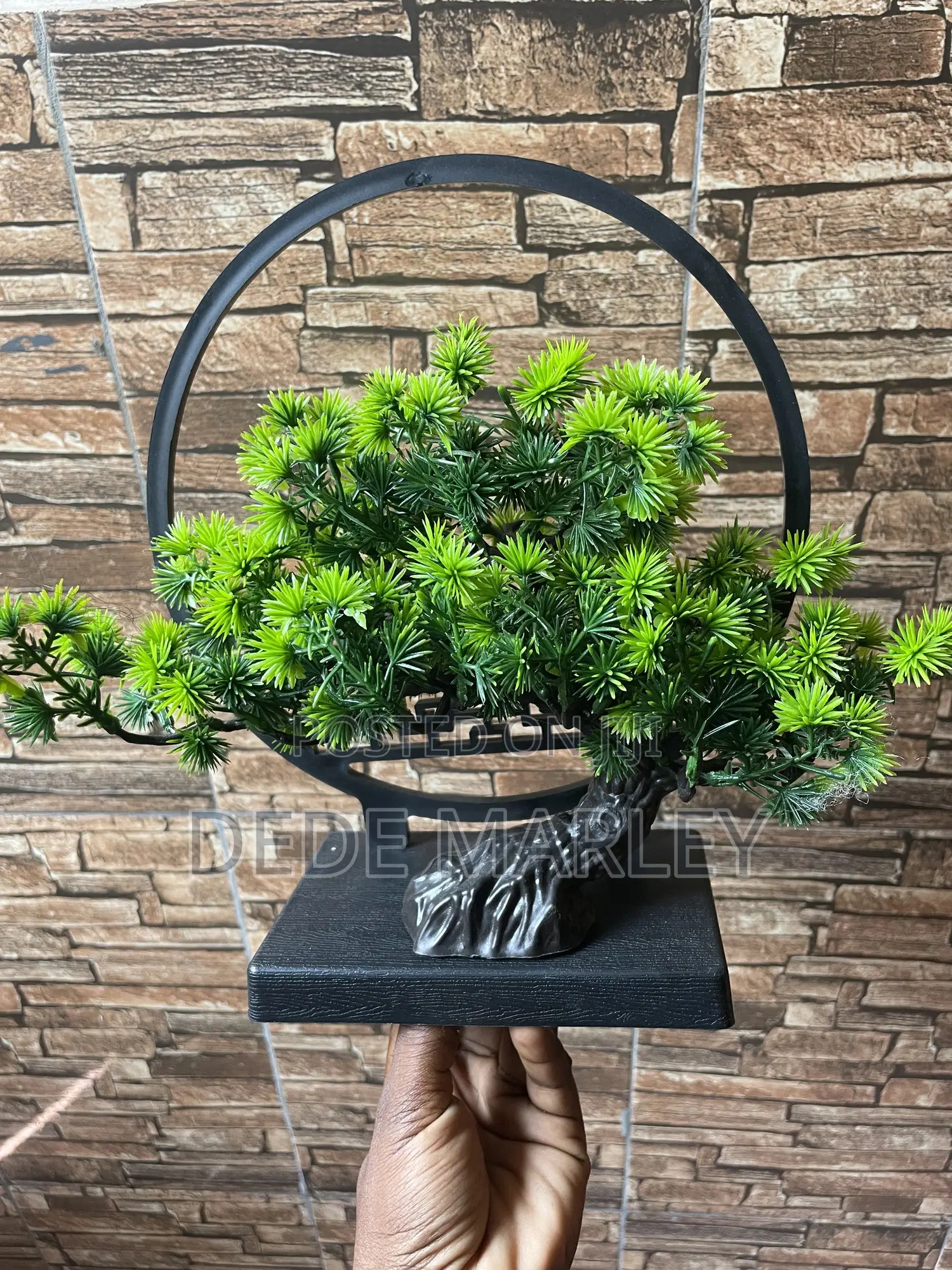 Deco Plant