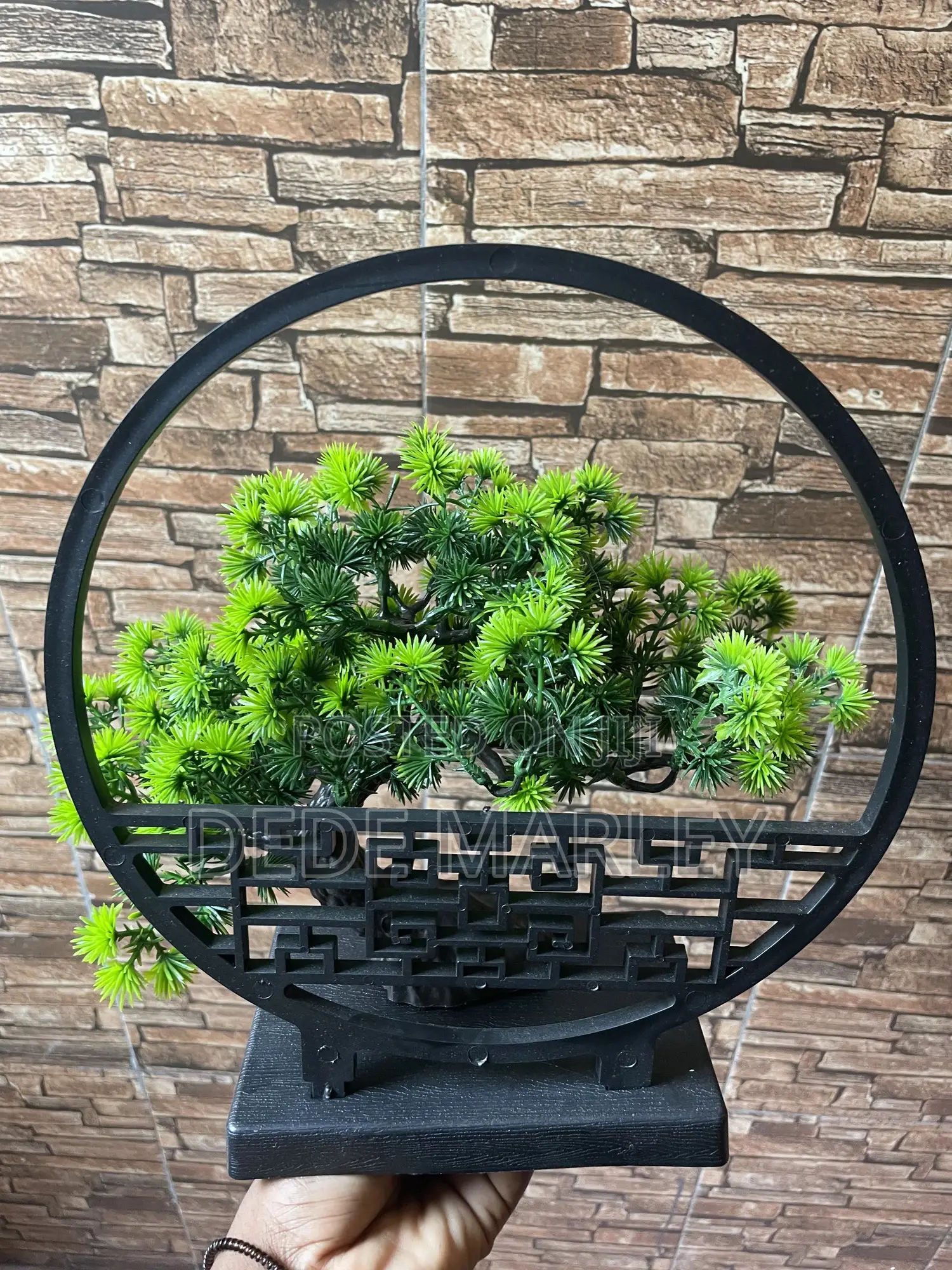 Deco Plant