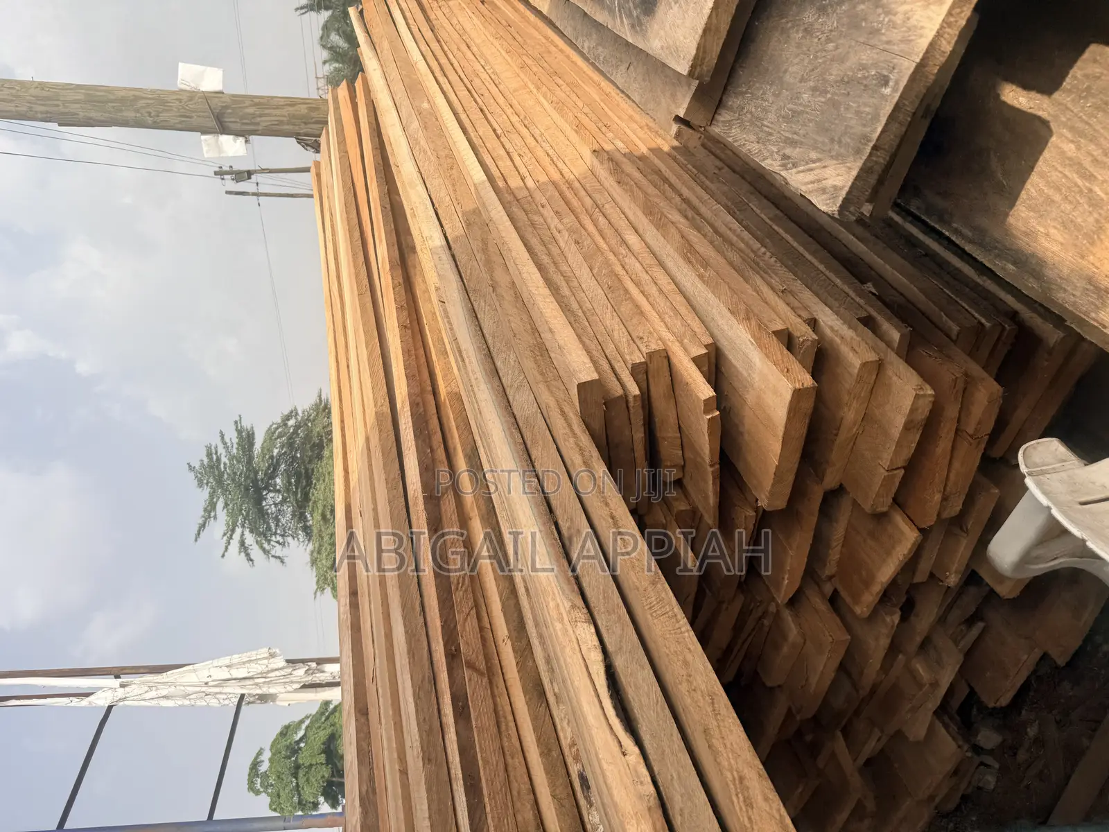Timber Wood
