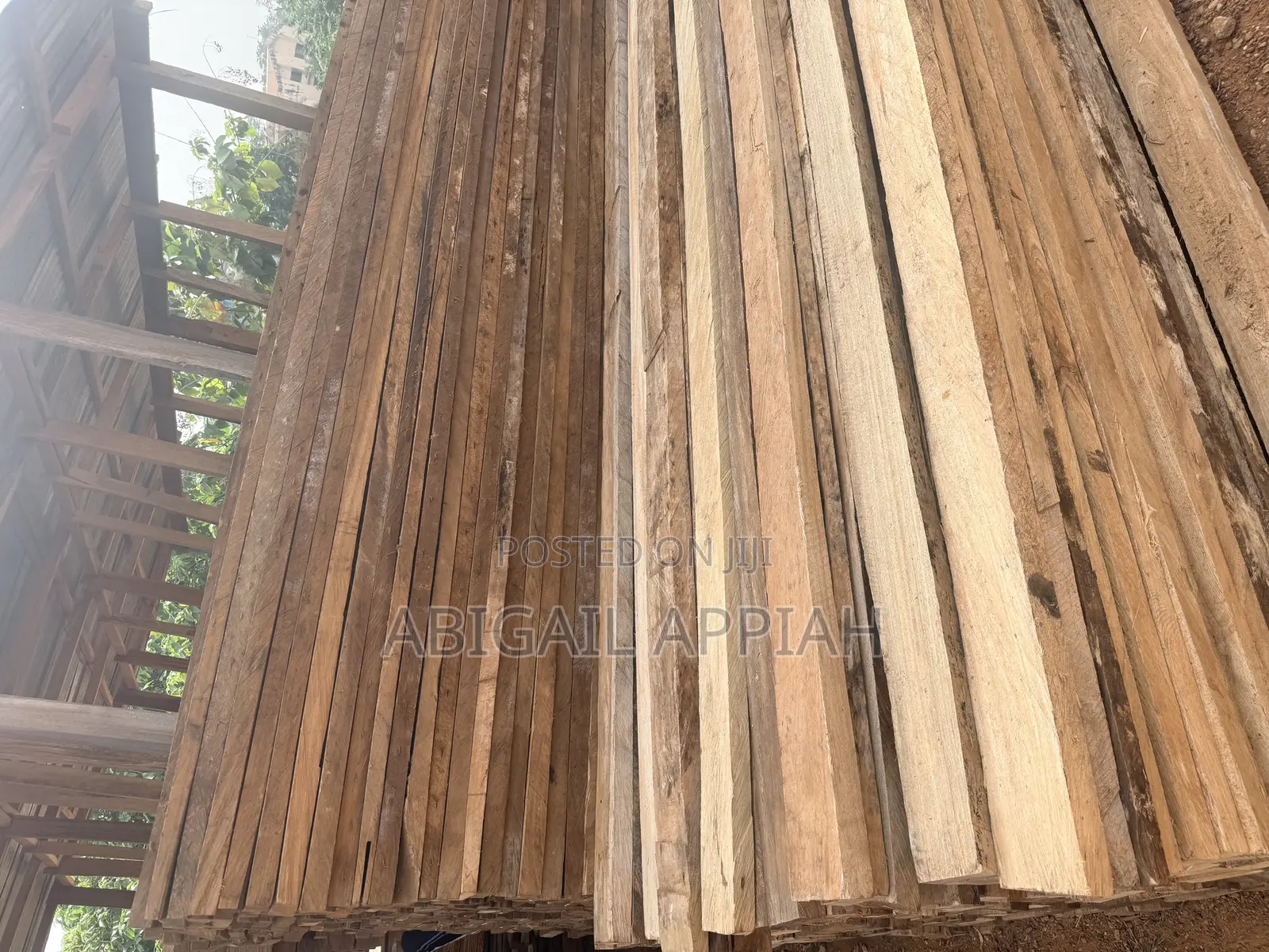 Timber Wood