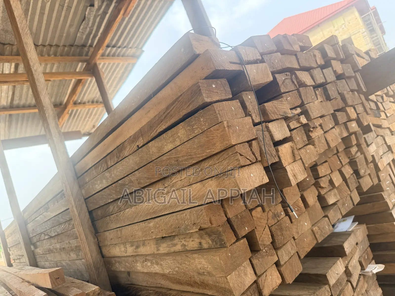 Timber Wood