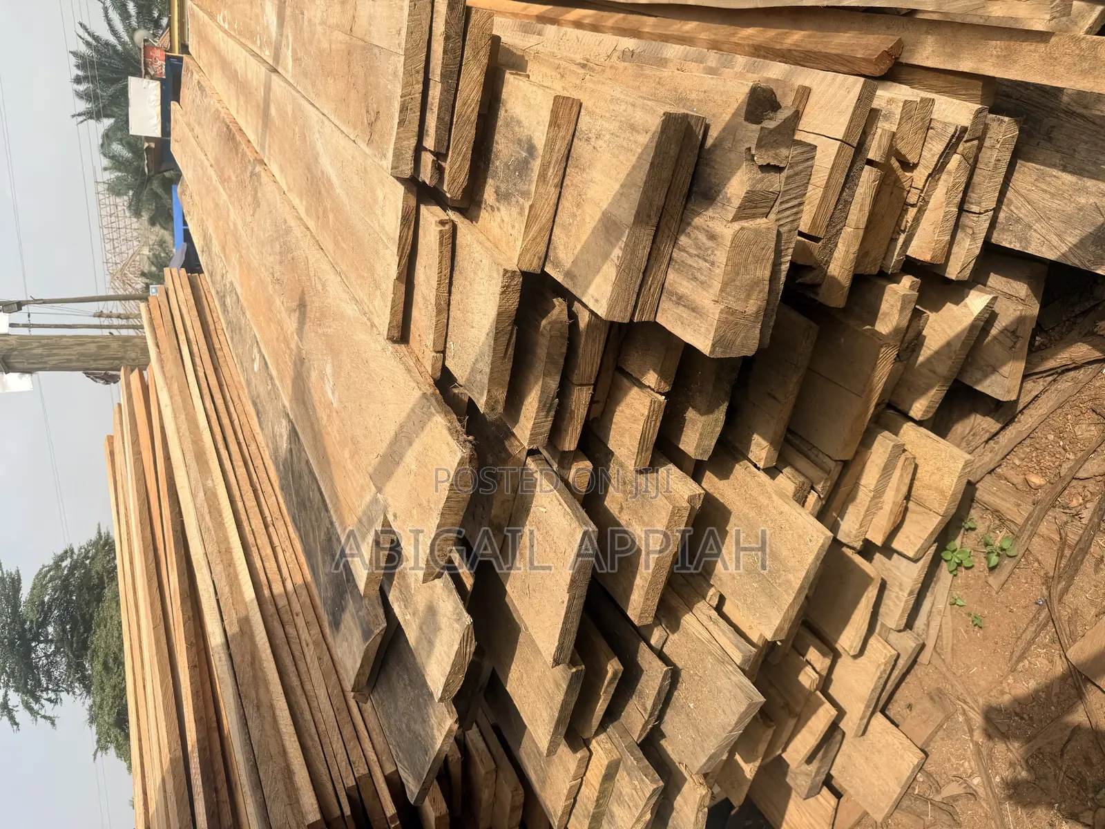 Timber Wood