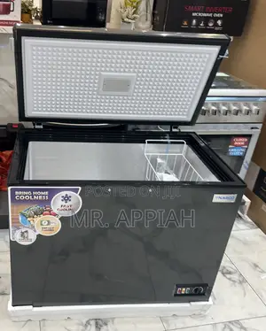 Classic Nasco Nas250fl 200l Chest Freezer(Gray) 