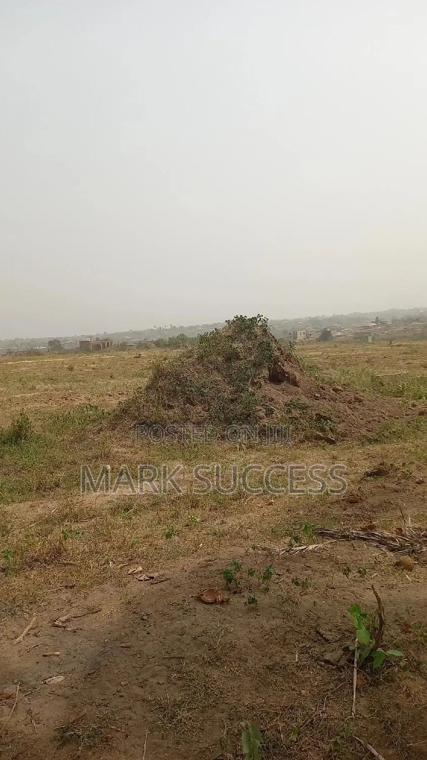 Titled Lands At Ashalaja,