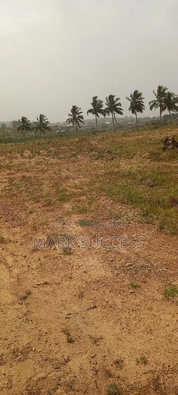 Titled Lands At Ashalaja,