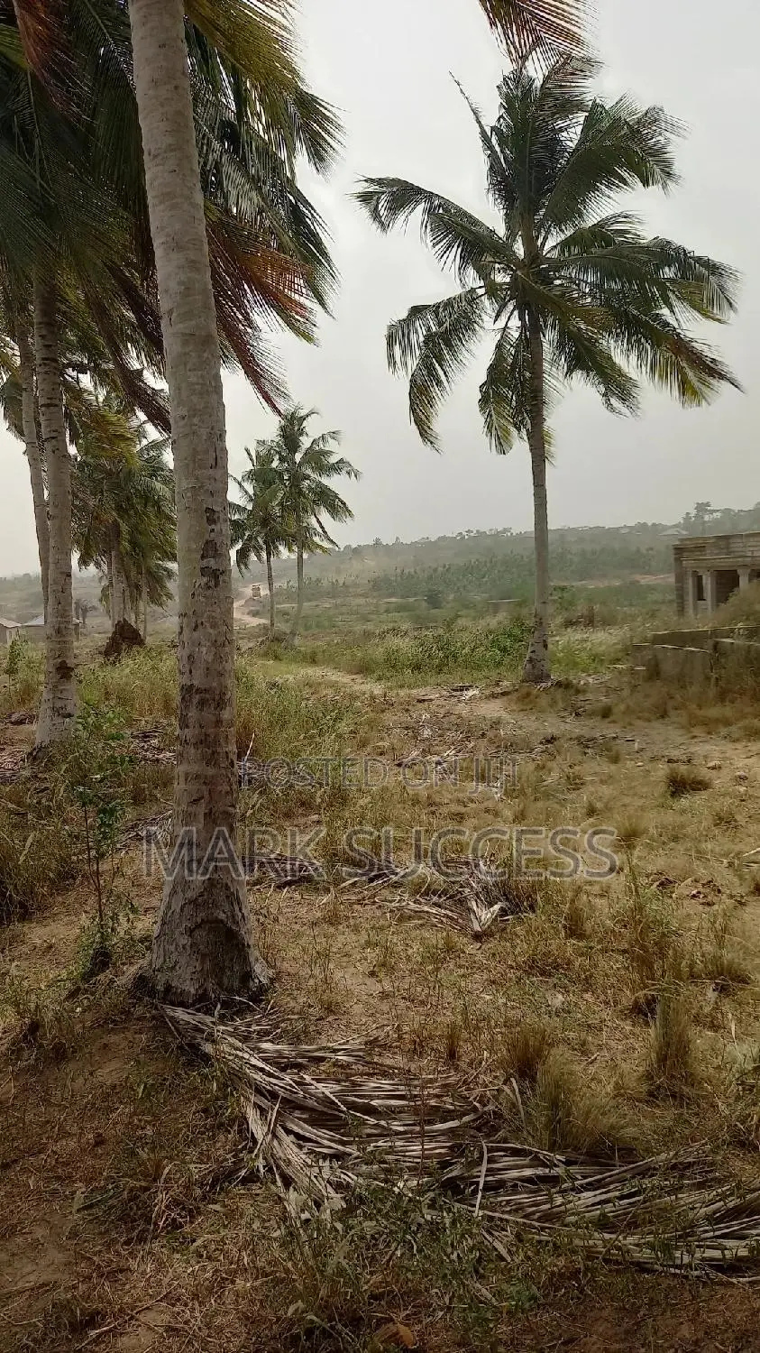 Titled Lands At Ashalaja,