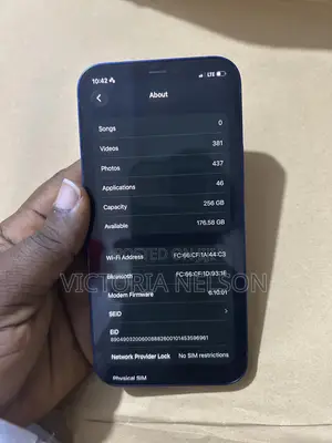 Apple iPhone 12 256 GB Blue