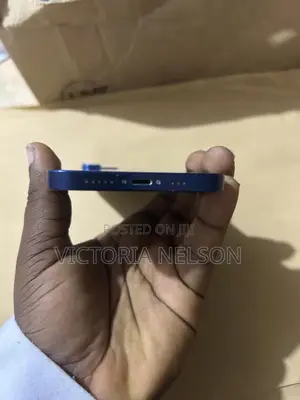 Apple iPhone 12 256 GB Blue