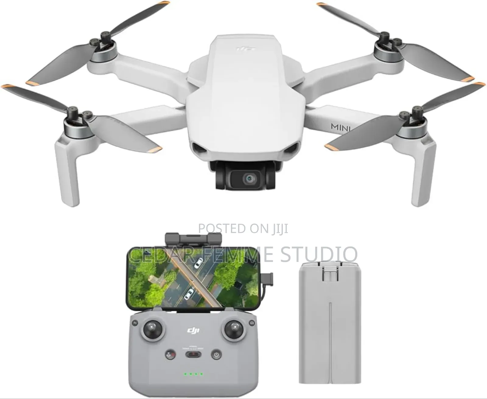 Dji Mini Standard