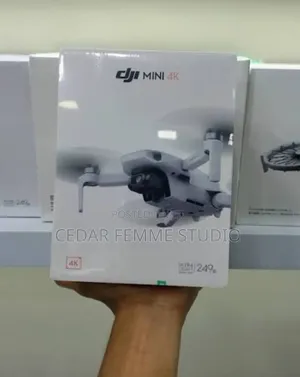 Dji Mini Standard