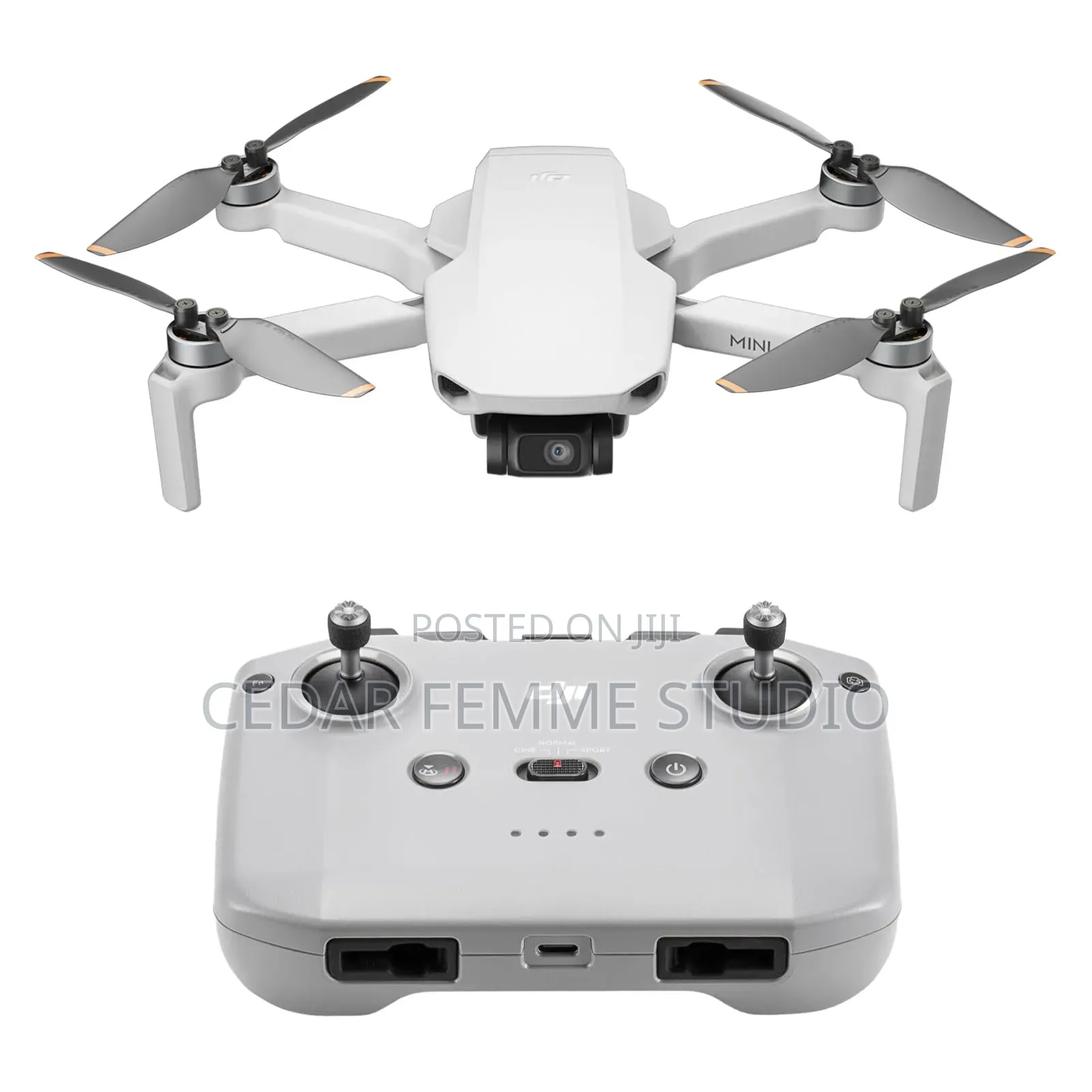 Dji Mini Standard