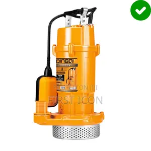 2-Inch, 1hp Stainless Steel Submersible Clean Water Pump - Dingqi