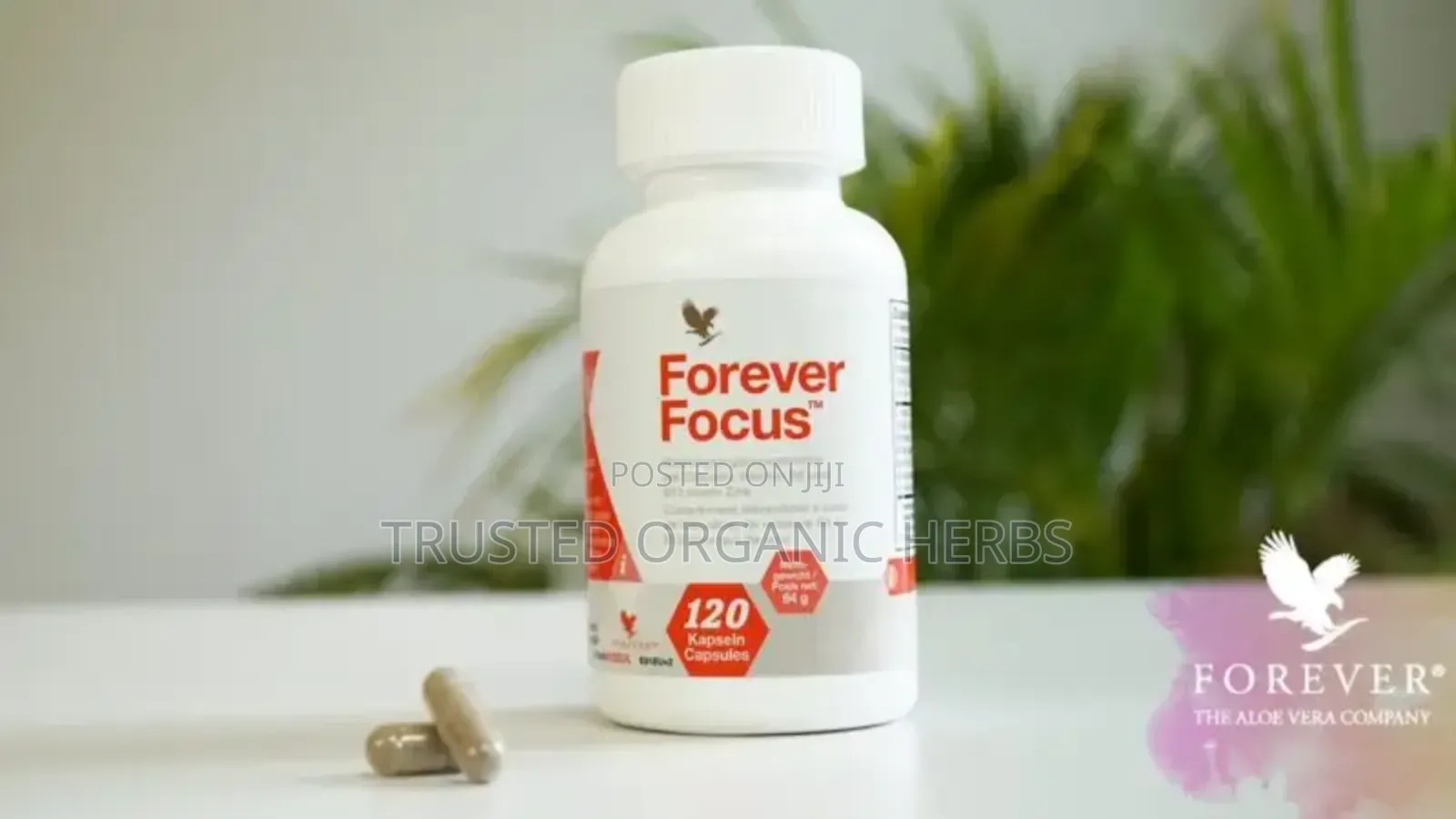 Brain Booster Natural Treatment - Forever Focus