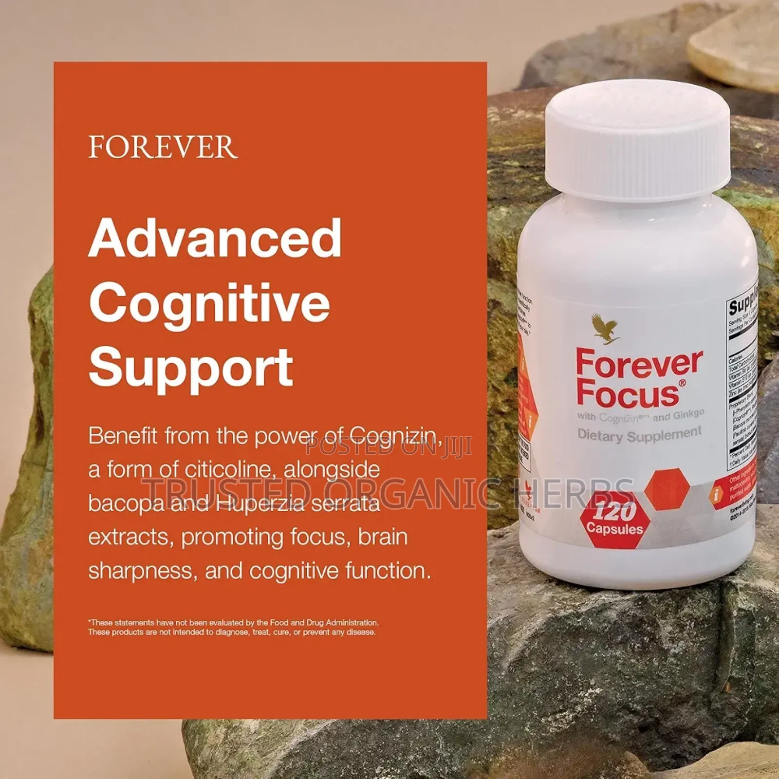 Brain Booster Natural Treatment - Forever Focus