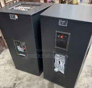 Active Short Range Speaker With Two Microphones and Cables (Pro Nak)