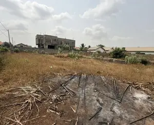 2plots at Tema Com 25