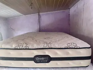 Beautyrest Black Hd(Double) 54/75 14inches