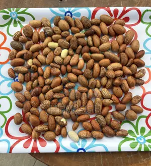 Bitter Kola (Orogbo), Male Performance, Stamina