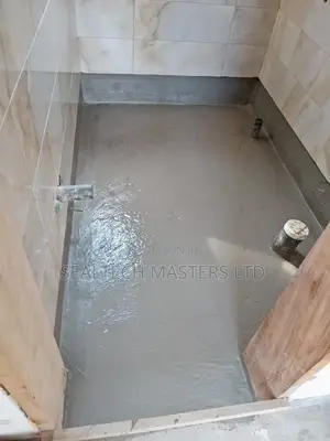 Waterproofing Services(Say Goodbye to Damps Leaks!)