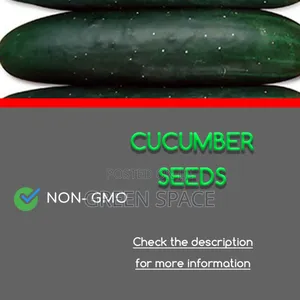 Cucumber Seeds