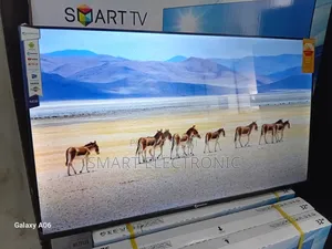 Dolphin Bay 43-Inch Smart Television With Dynamic Dolphine Bay