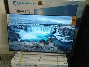 Frame by Frame Dolphine Bay 43-Inch Smart Tv, Dolphine Bay Tv