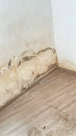 Moisture Damage Repairs(Dampness/Wet Walls)