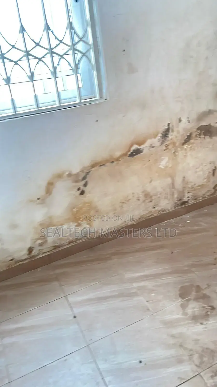 Moisture Damage Repairs(Dampness/Wet Walls)
