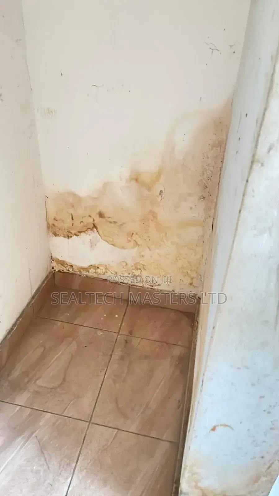 Moisture Damage Repairs(Dampness/Wet Walls)
