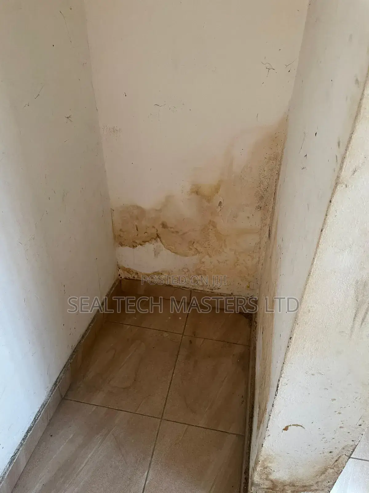 Moisture Damage Repairs(Dampness/Wet Walls)