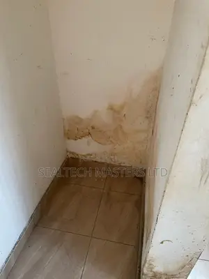 Moisture Damage Repairs(Dampness/Wet Walls)