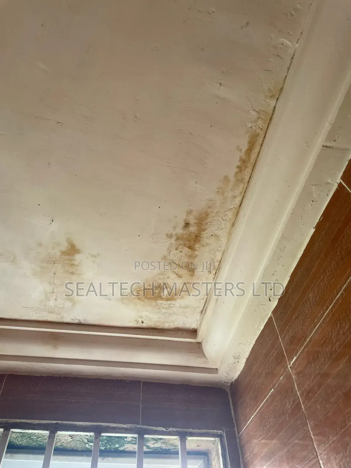 Moisture Damage Repairs(Dampness/Wet Walls)