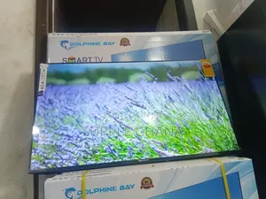 Dolphine Bay 43-Inch Smart Tv, This Just in Dolphine Bay 43-Inch