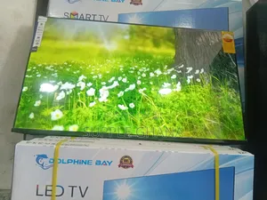 Lumaview Dolphine Bay 43-Inch Smart Tv, Dolphine Bay Smart Tv