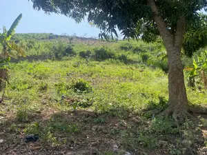 Prime Land for Development